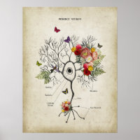 Anatomia do Neurônio Celular Purkinje com Flores