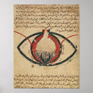 Poster Anatomia do olho, de um livro em doenças de olho