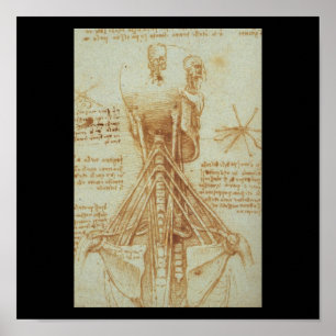 Póster Anatomia do pescoço por Leonardo da Vinci C. 1515