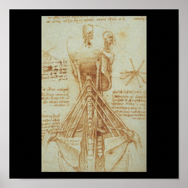 Póster Anatomia do Pescoço por Leonardo Da Vinci c. 1515 (Frente)