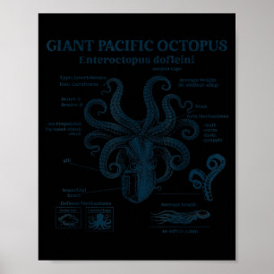 Poster anatomia do polvo gigante do pacífico oceano mar b