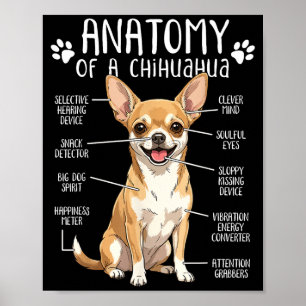 Poster Anatomia Engraçada de Chihuahua de um Dono de Cach