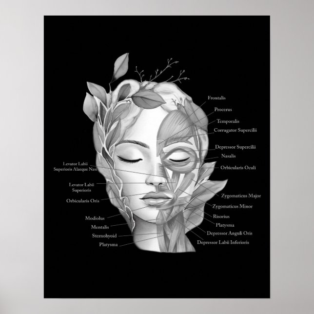 Poster Anatomia facial Músculos Med Spa Decor (Frente)