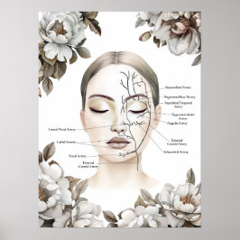 Poster Anatomia facial Vasos sanguíneos Decor de Botox