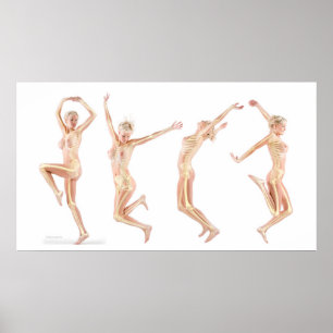 Póster Anatomia feminina