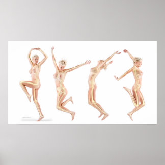 Póster Anatomia feminina