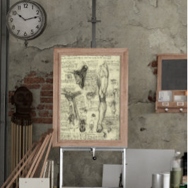 Poster Anatomia Humana Antiga Laringe Perna Leonardo da V