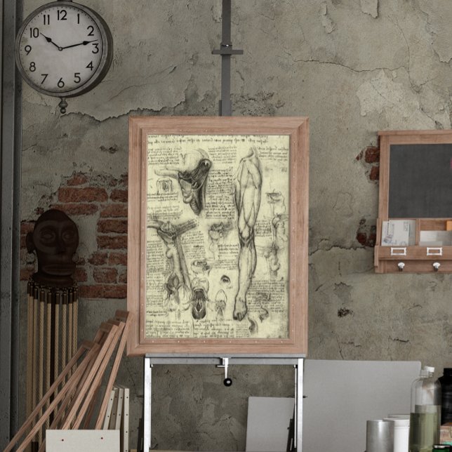 Poster Anatomia Humana Antiga Laringe Perna Leonardo da V (Criador carregado)