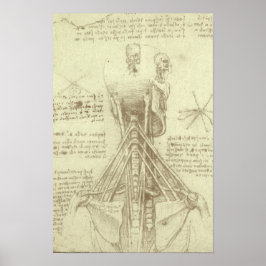 Póster Anatomia Humana Coluna Vertebral por Leonardo da V