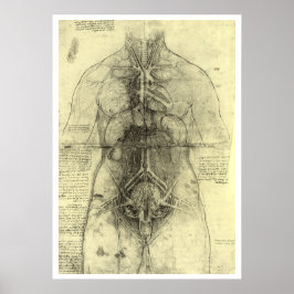 Póster Anatomia humana de Leonardo da Vinci, mulher Torso