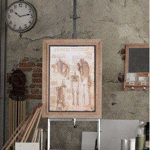 Póster Anatomia humana Ossos do Esqueleto de Leonardo da 