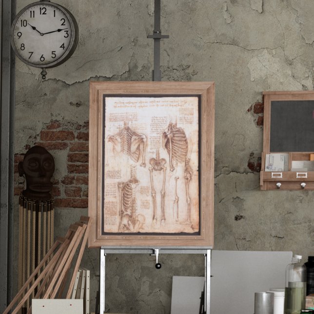 Póster Anatomia humana Ossos do Esqueleto de Leonardo da  (Criador carregado)
