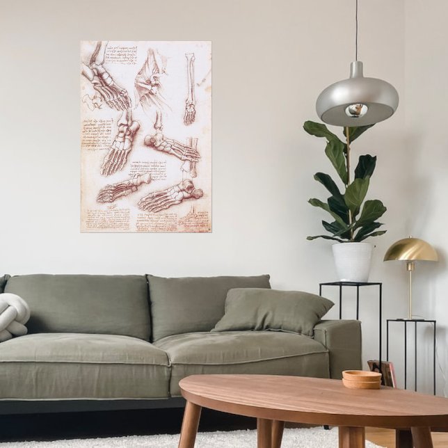 Póster Anatomia humana Pés-Ossos por Leonardo da Vinci (Criador carregado)