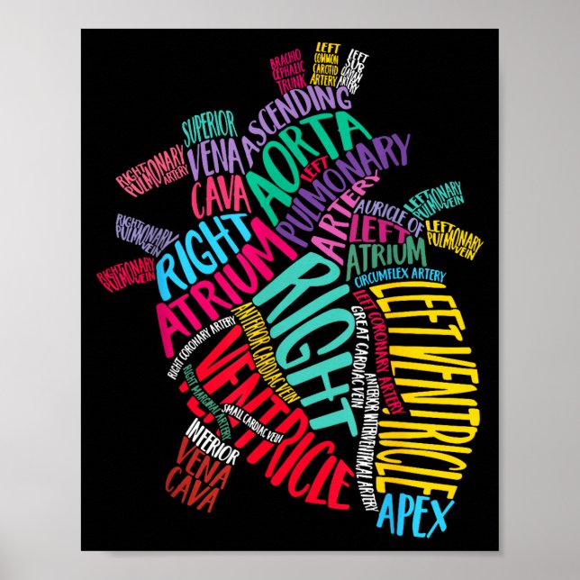Poster Anatomical Heart Design Cardiac Cardiovascular Icu (Frente)
