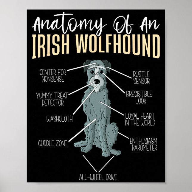 Poster Anatomy Of An Irish Wolfhound  (Frente)