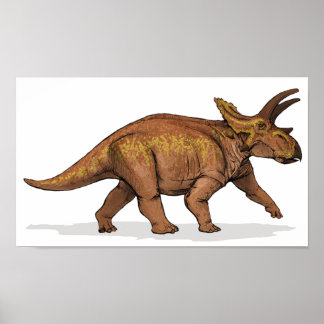 Póster Anchiceratops - Carteira do Dinossauro Cretáceo