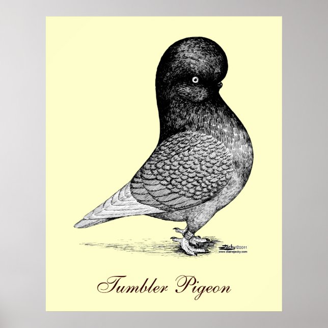 Poster Andaluz Tumbler (Frente)