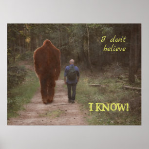 POSTER ANDANDO COM BIGFOT SASQUATCH - EU SEI