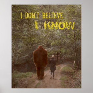 POSTER ANDANDO COM BIGFOT SASQUATCH - EU SEI 2