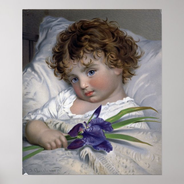 Poster Anderson - Prattling Primrose (Frente)