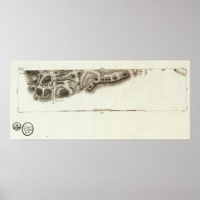 Poster andorinha (Frente)