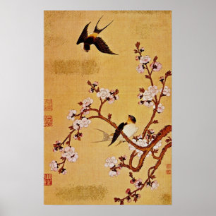Poster andorinhas do branco e ramos de florescência,