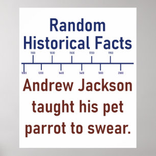 Poster Andrew Jackson Ensinou Seu Papagaio A Jurar - Hist