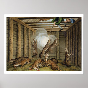 Poster Anedota americana: Disparando nos lobos, b gravado