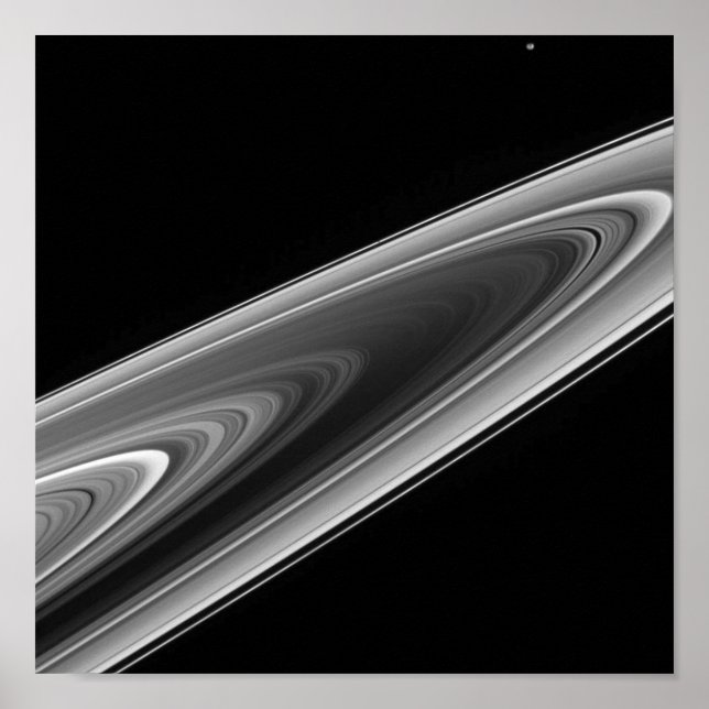 Póster Anéis de Saturno (Frente)