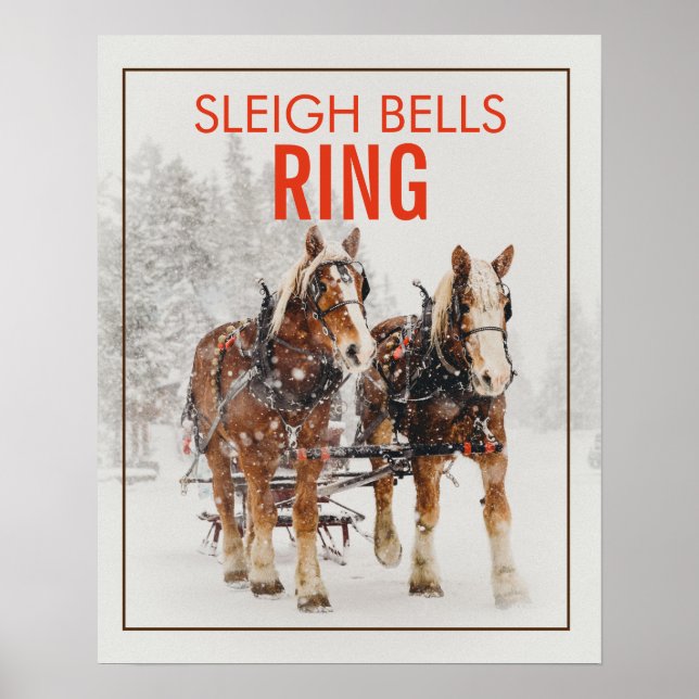 Poster Anel Sleigh Belga Equipe de Cavalos (Frente)