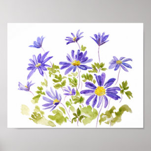 Poster anêmona púrpura blanda Watercolor