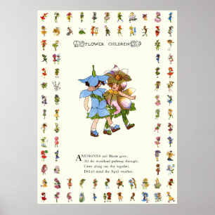 Póster Anêmonas e Bluets