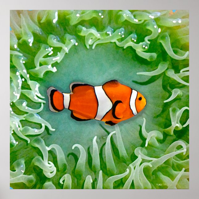 Poster Anemone (Frente)