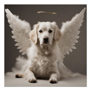 Póster Angel Dog