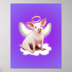 Póster Angel Pig