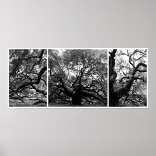 Poster Angel Tree Collage