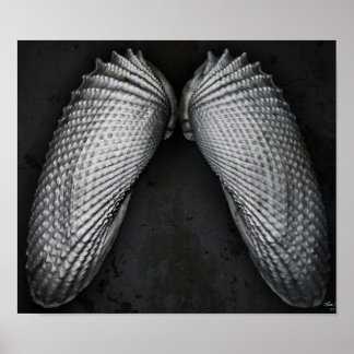 Póster Angel Wings BW