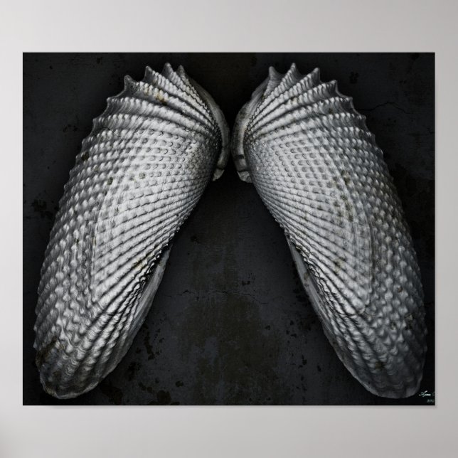 Póster Angel Wings BW (Frente)