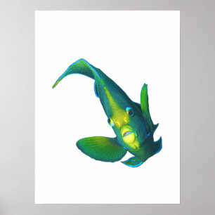 Poster Angelfish - Design abstrato - Corte de uma foto  