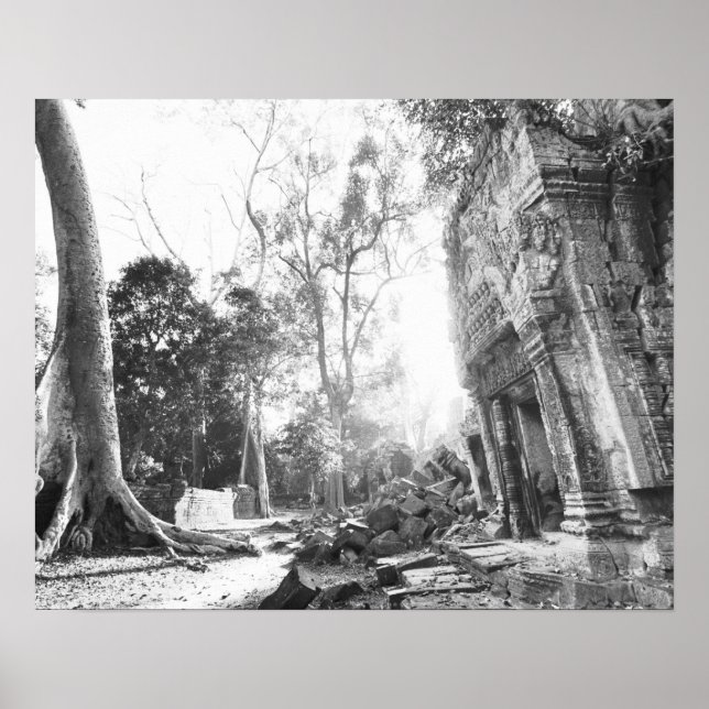 Poster Angkor Camboja, Detalhes Ta Prohm (Frente)