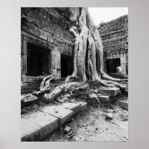 Poster Angkor Camboja, Ta Prohm Tree