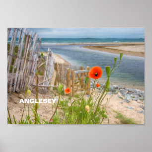 Poster Anglesey Wales Scenic View Beach E Wild Poppies