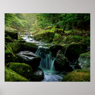 Poster Angra de fluxo, rochas Mossy verdes, natureza da