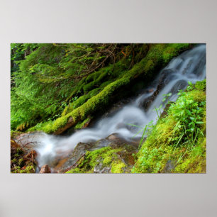 Póster Angra no parque nacional de Monte Rainier