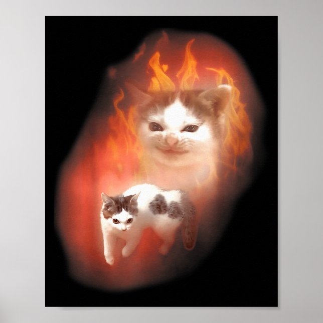 Poster Angry Cat Meme Funny Silly Cat Kitten Lover Humor  (Frente)