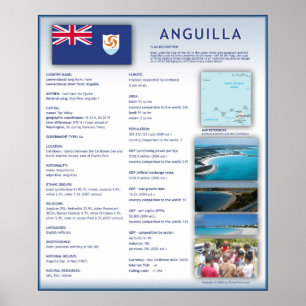 Póster Anguila