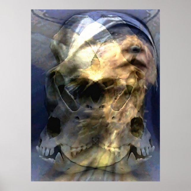 Poster Animages 2 (Frente)