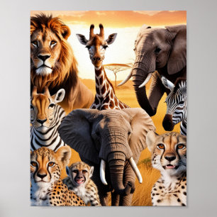 Poster Animais africanos