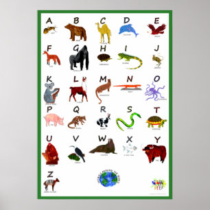 POSTER ANIMAIS AO REDOR DO MUNDO CARTAZ ABC