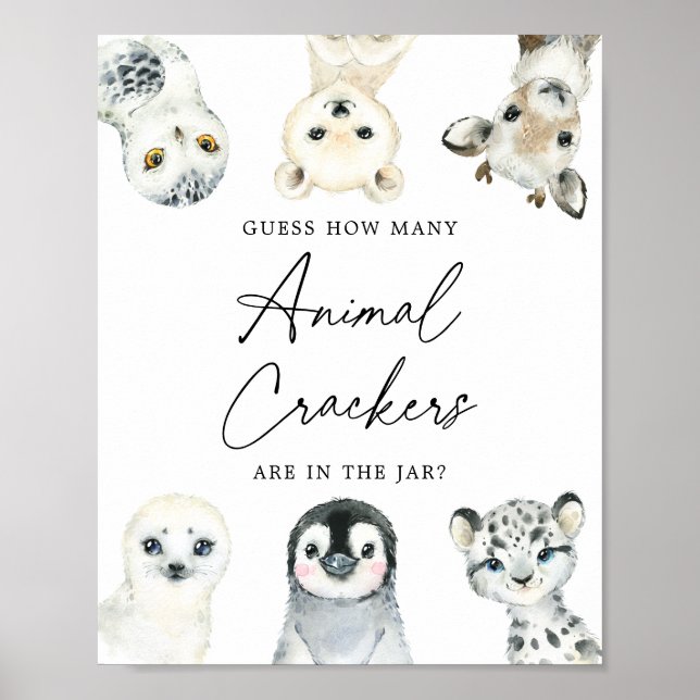 Poster Animais Árcticos Adivinham Quantos Sanitários De A (Frente)